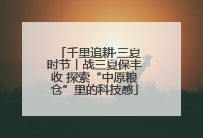 千里追耕·三夏时节丨战三夏保丰收 探索“中原粮仓”里的科技感